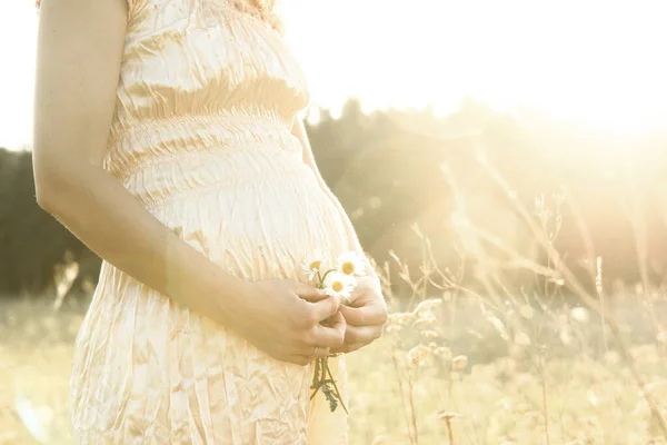 Buik Van Een Zwangere Vrouw Natuur Met Zonnebrand — Stockfoto