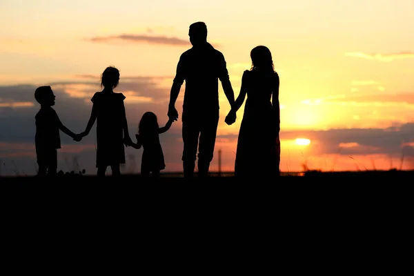 Silhouette Una Famiglia Felice Con Bambini Sulla Natura — Foto Stock