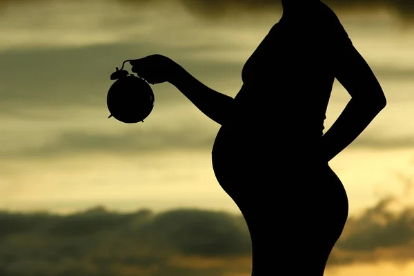 Silhouet Van Zwangere Vrouw Een Natuur Met Klok — Stockfoto