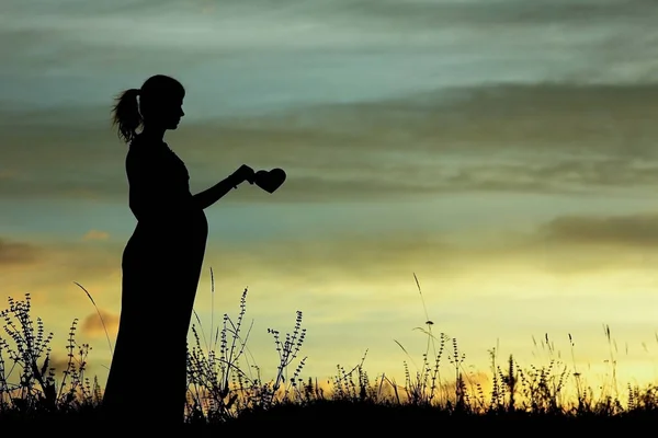 Silhouette Femme Enceinte Sur Une Nature Avec Cœur — Photo