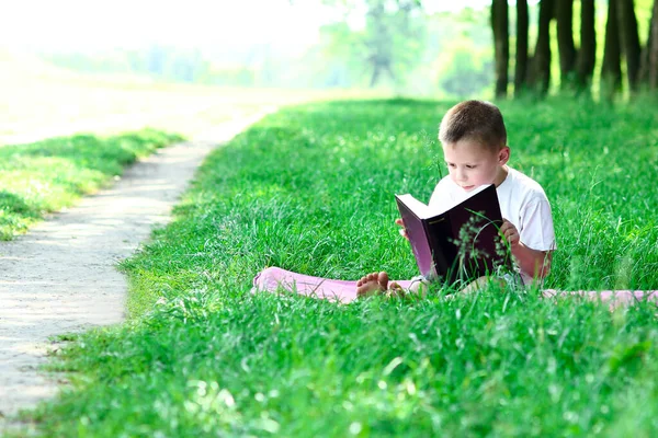 Niño Leyendo Libro Biblia Aire Libre — Foto de Stock