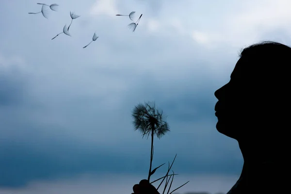 Silhouette Una Ragazza Felice Con Dente Leone — Foto Stock