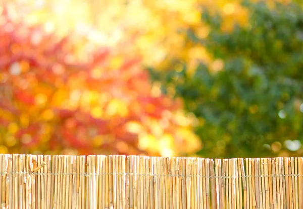 Straw Background Fence Nature Autumn — Stock Photo, Image