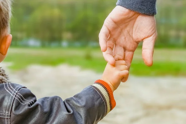 Красивые Руки Родителей Детей Открытом Воздухе Парке — стоковое фото