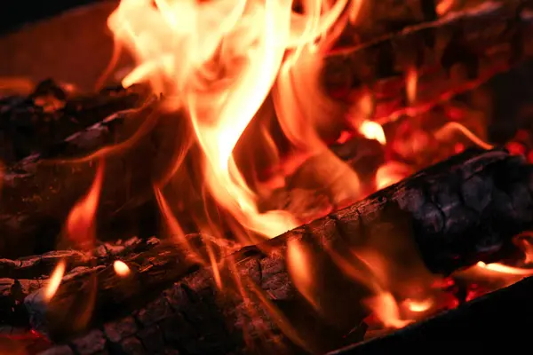 Kömürlü ateş ve doğa pikniğinde ateş. Sokaklarda yemek için şenlik ateşi yakıyor.