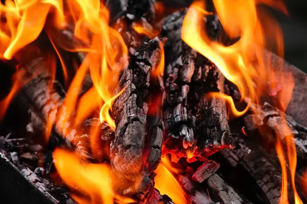 Kömürlü ateş ve doğa pikniğinde ateş. Sokaklarda yemek için şenlik ateşi yakıyor.