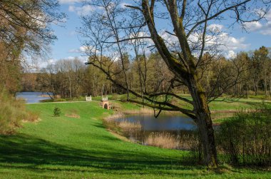 Erken Bahar güneşli bir günde Gölü yakınında park. Uzutrakis park. Trakai, Litvanya.