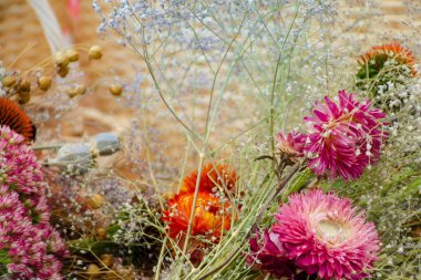 Kurutulmuş çiçek kompozisyon. Kuru çiçek deseni.