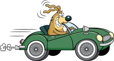 Üstü açık spor araba kullanan ve tel tekerlekleri olan bir köpeğin çizgi film çizimi..