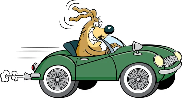 Dibujos Animados Ilustración Perro Conduciendo Coche Deportivo Convertible Con Ruedas — Archivo Imágenes Vectoriales