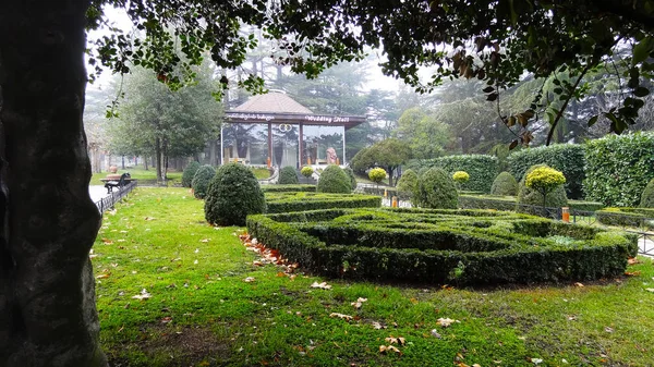 Georgia, Tiflis - Ocak 2018: Parkta Mtatsminda dağda gelin salonda.