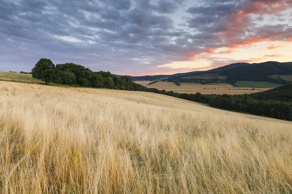 Kırsal Manzara Mera Alanları Orman Ipel Vadisi Nehri Güney Slovakya — Stok fotoğraf