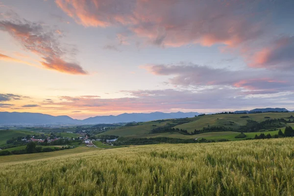 Vesnice Mezi Pole Pastviny Regionu Turiec Středním Slovensku — Stock fotografie