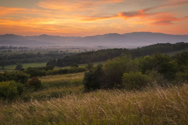 Mera Turiec Bölge Merkezi Slovakya Woodland Yamalari — Stok fotoğraf