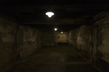 Oswiecim, Polonya - 22 Ağustos 2018: Eski Alman Nazi Toplama ve İmha Kampı Auschwitz-Birkenau 'da gaz odası