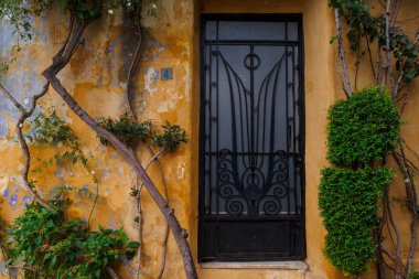 Bitkiler ve Atina, Yunanistan'ın eski şehir Anafiotika Mahallesi'nde eski bir bina.