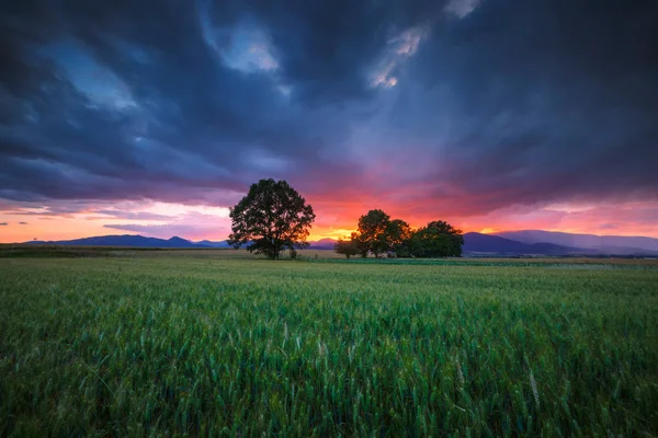 Turiec bölgesi, Slovakya.