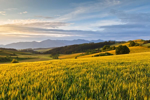 Slovakya. — Stok fotoğraf