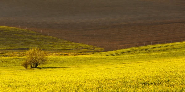 Турик (Словаччина). — стокове фото