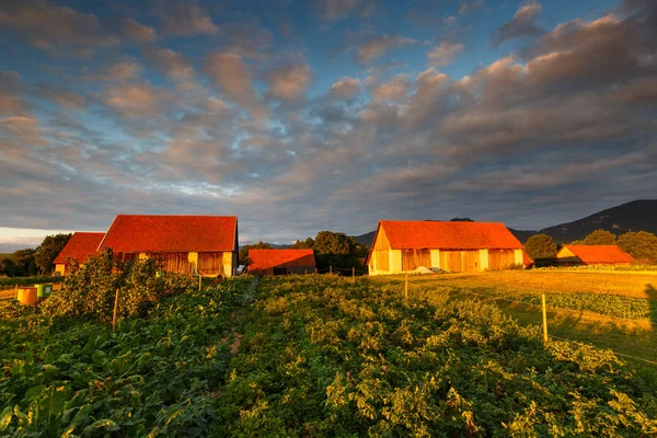 Turiec, Slovakya. — Stok fotoğraf