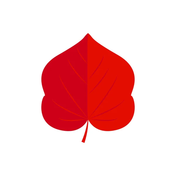 Vectorillustratie Populier Blad Herfst Blad Pictogram — Stockvector