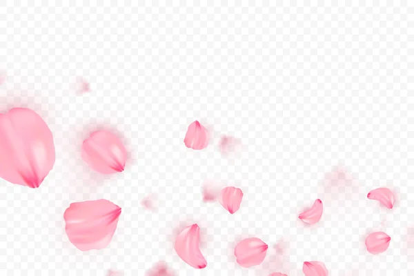 Rosa sakura caída pétalos vector de fondo. Ilustración romántica 3D. Banner transparente con sakura. Tarjeta de amor — Vector de stock