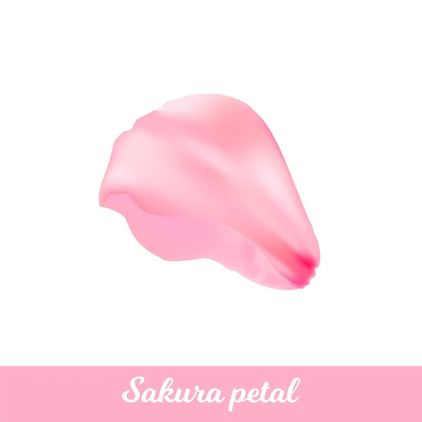 Красуня рожева пелюстка сакури. Векторна романтична квітка. Пелюстка елегантності для фону для пастельного дизайну. Ізольована пелюстка — стоковий вектор