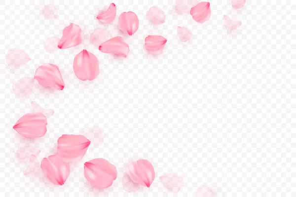 Рожевий сакура падає пелюстки векторний фон. 3D романтична ілюстрація. Транзисторний банер з сакурою — стоковий вектор