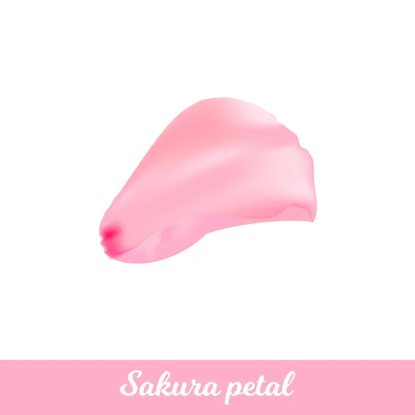 Красуня рожева пелюстка сакури. Векторна романтична квітка. Пелюстка елегантності для фону для пастельного дизайну. Ізольована пелюстка — стоковий вектор