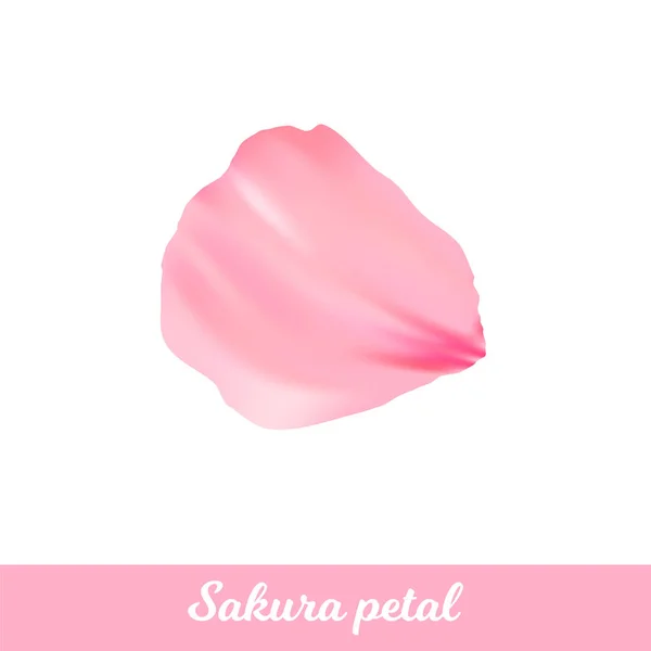 Beauty pink sakura petal. Vector romantic flower. Elegance petal for background for pastel design. Isolated petal — Stock Vector