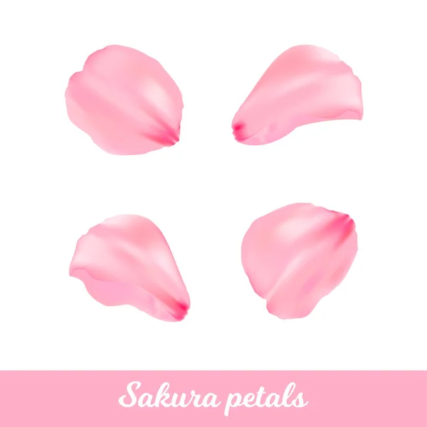 Beauty Pink Sakura kronblad set. Vektor romantisk blomma. Illustration. Elegans kronblad för bakgrund. Isolerade kronblad — Stock vektor