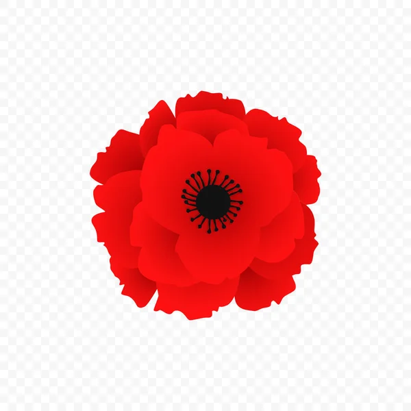 Geïsoleerde rode papaver icoon. SIMBOL van de Wereldoorlog in moderne stijl. Vector illustratie voor Floral herfst ontwerp. SIMBOL van de Britse herdenkingsdag — Stockvector