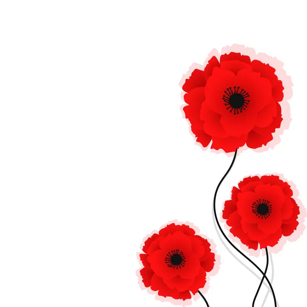 Natur bakgrund med röda vallmo blommor. Vektor illustration. Kan användas för textil, tapeter, utskrifter och webbdesign. Vektor illustration — Stock vektor