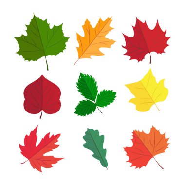 Tasarım için sonbahar yaprakları