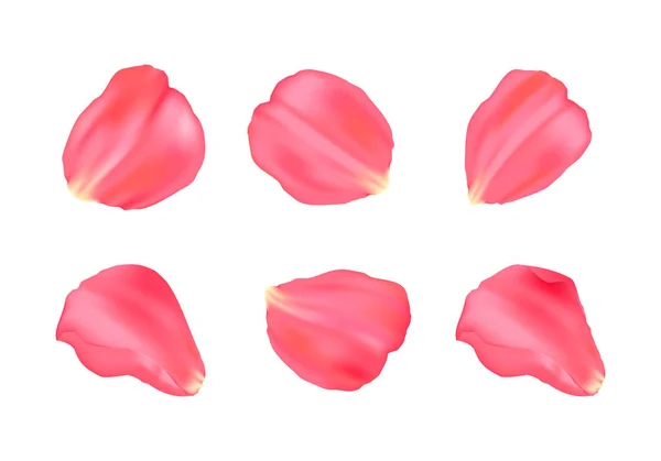 Елегантність пелюсток троянд для різних фонів — стоковий вектор