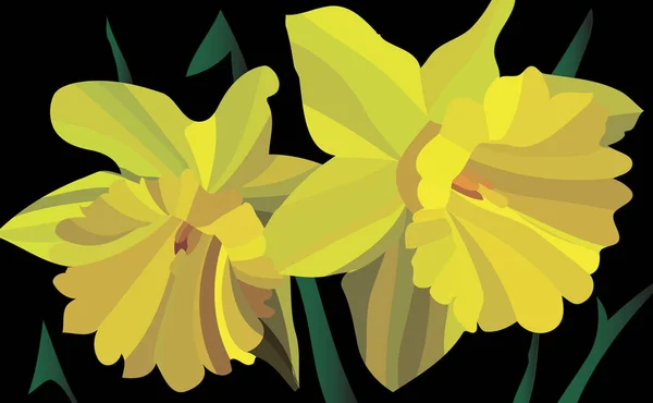 Vector illustratie. Narcissus plant uit stukken op zwarte backgr — Stockvector