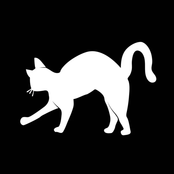Ilustración vectorial. Silueta gato blanco sobre fondo negro. S — Vector de stock