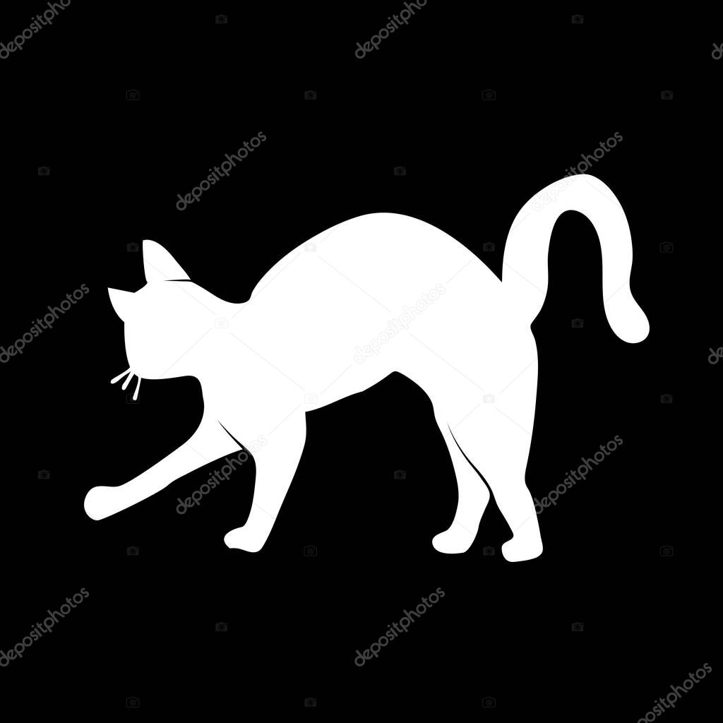 Vector Illustration. Silhouette white cat on black background. S