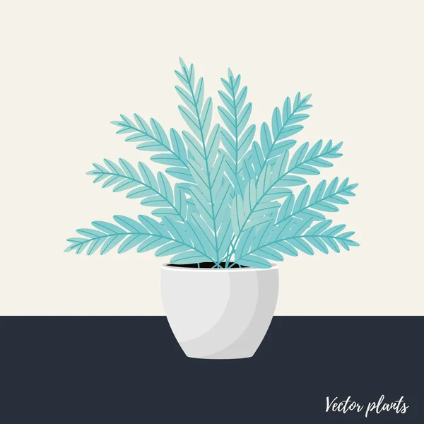 Ilustración vectorial. Planta en maceta. Aslenium, Salvia Officinalis , — Vector de stock