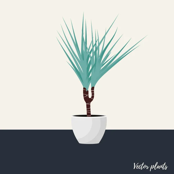 Ilustração vetorial. Planta em vaso. Drocena planta em casa. Estanho liso — Vetor de Stock