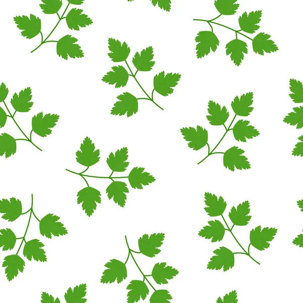 Seamless Green parsley pattern — Stock Vector