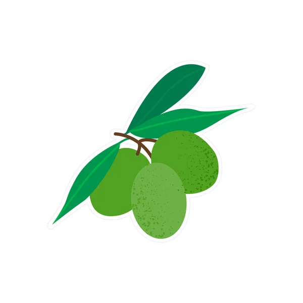 Sticker icône d'olive isolée — Image vectorielle