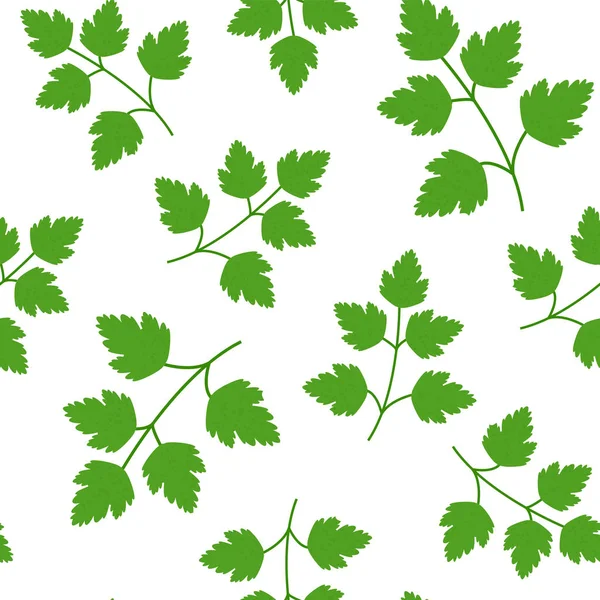 Χωρίς ραφές πράσινο μαϊντανό σε επίπεδη στυλ μοτίβο — Διανυσματικό Αρχείο