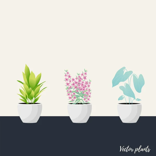 Collection de plantes d'intérieur décoratives isolées — Image vectorielle