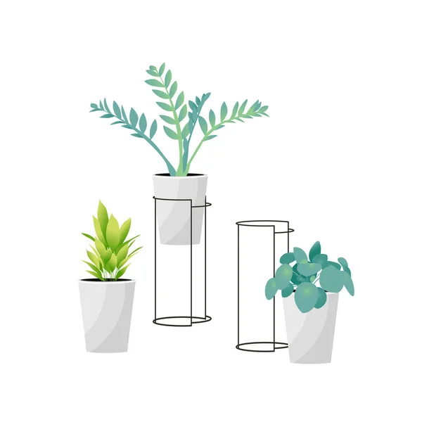 Inicio planta para ventana de diseño de estilo — Vector de stock