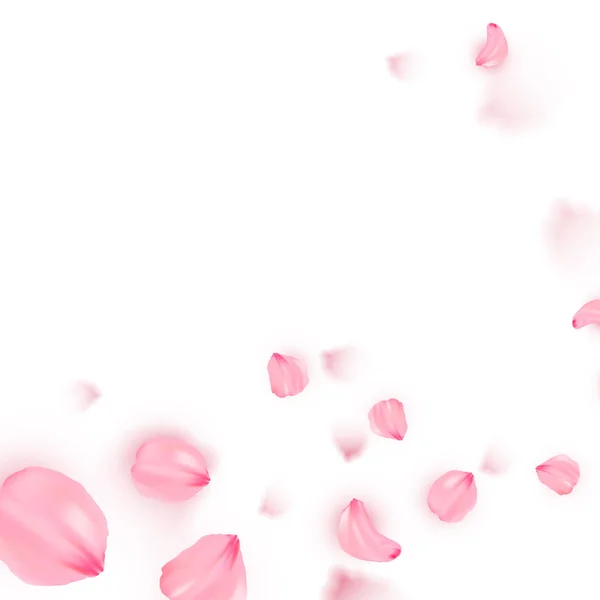 Różowy Sakura spada płatki tło wektorowe — Wektor stockowy
