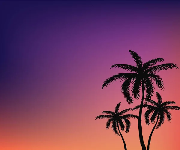 Ručně kreslené izolované palmy — Stockový vektor