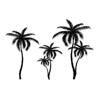 El çizimi yalıtılmış palmiye