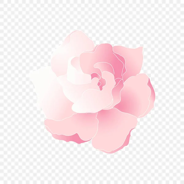 Ізольована рожева квітка. Векторний квітковий елемент — стоковий вектор
