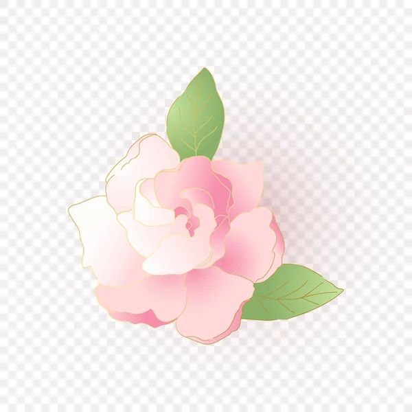 Geïsoleerde roze bloem. Vector bloemenelement — Stockvector